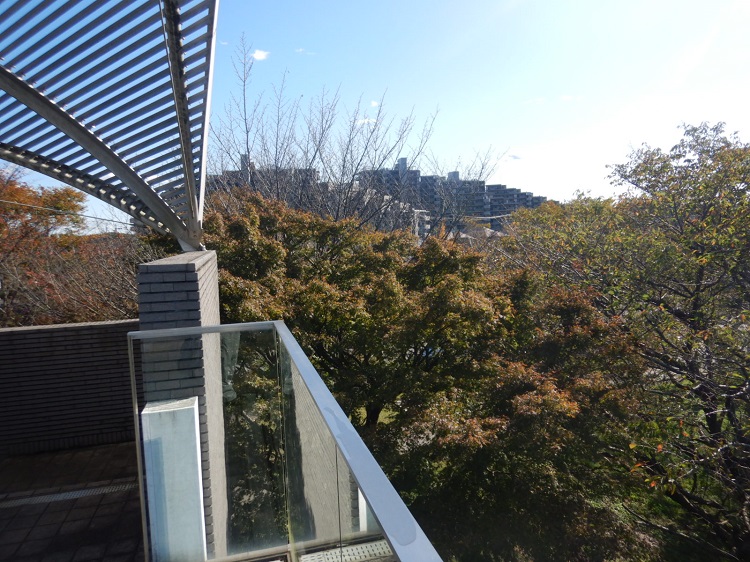 2021年10月26日撮影