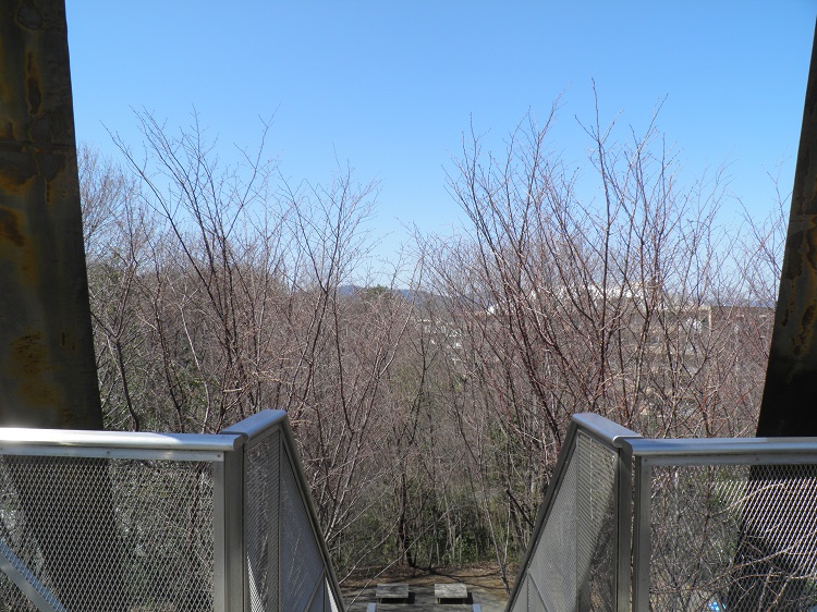 展望台冬場の眺望⑧