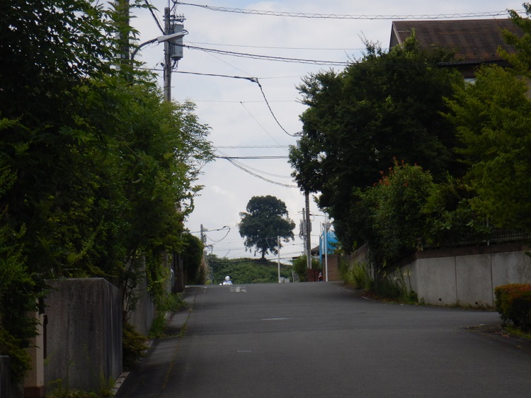 そのまま下り