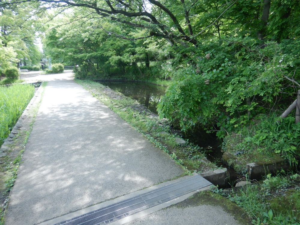 奥側の水路から水が入り、手間の水路を通じて外側の池を通して元の水路に水を戻しましたら水質が良くなりました。