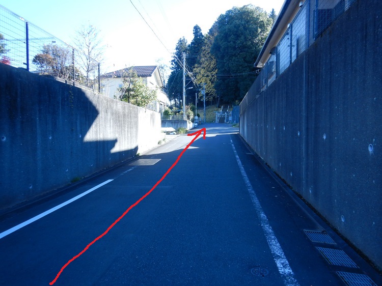 正面に熊野神社が見えてきました。