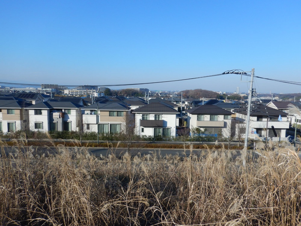 2021年12月24日撮影