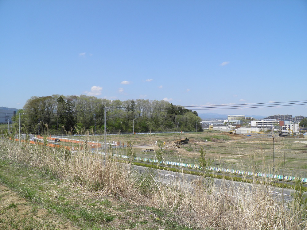 2013年4月13日撮影