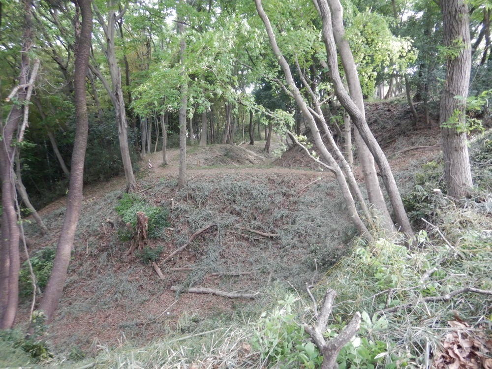 二の丸広場東側大手口入口（二の丸側面側から撮影）