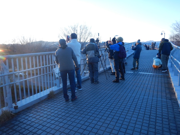 栃谷戸公園橋
