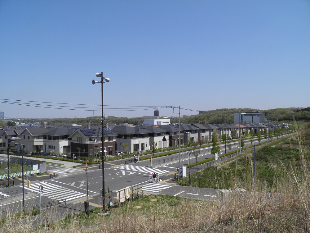 2013年4月13日撮影