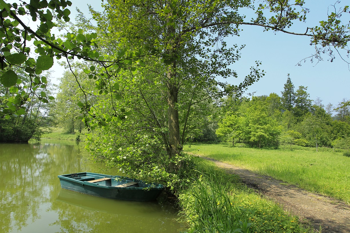 Le Noisetier