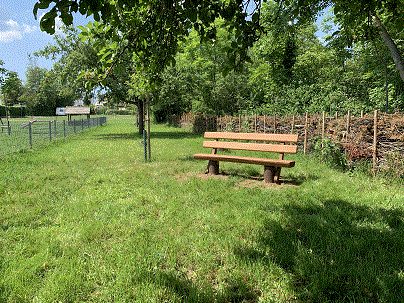 Neue Parkbank auf der Streuobstwiese