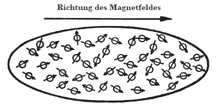 Abb.: Aus dem Buch „Was ist Leben?“