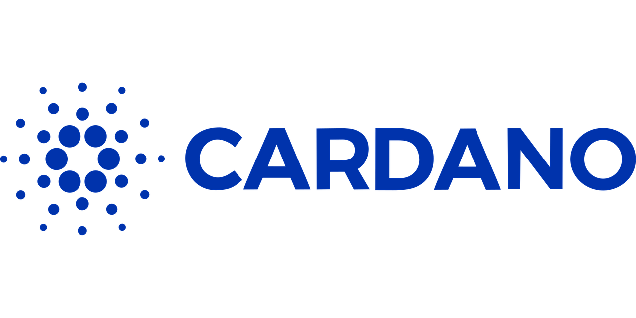 Cardano Grundlagen Kurs