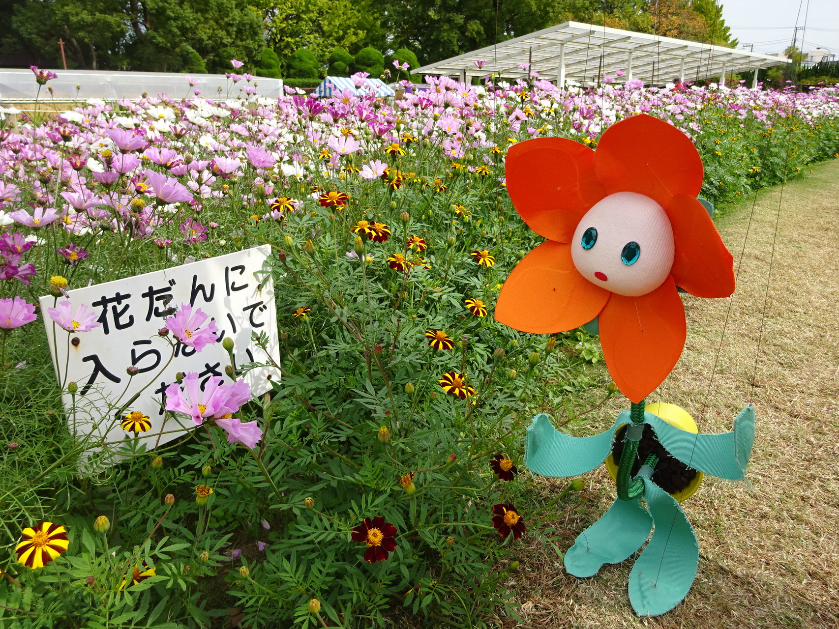 おさんぽ ☆ まりおねっと　～　おはなちゃん’ ず