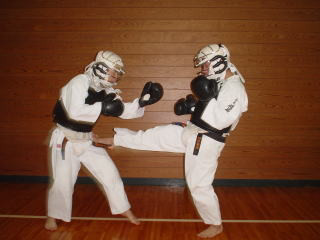 ZUKI KERI NO NIPPON KEMPO 日本拳法の突き蹴り