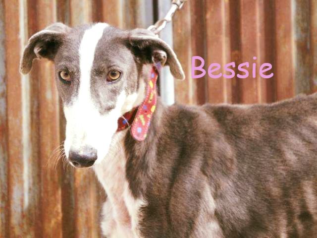 Bessie