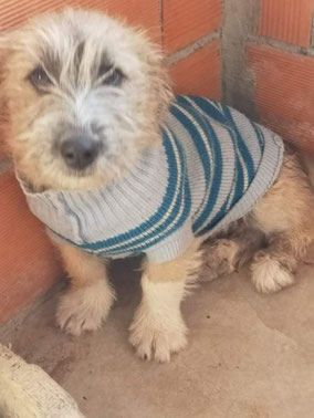 Eduardo l'amigo
