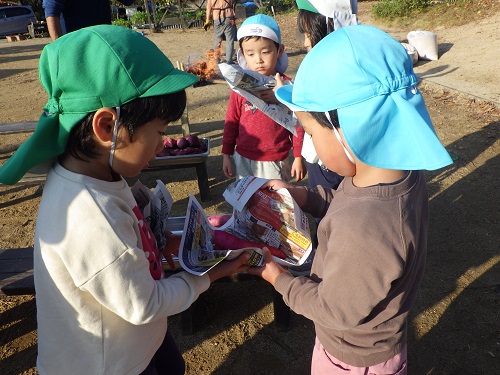 焼き芋の準備中。やま組さんに教えてもらってお芋をまきまき…（4歳児）