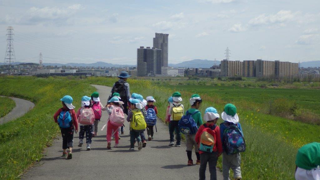 「春の遠足」４・５歳は、淀川堤防を歩いて春日神社まで行きました。春の自然を感じながらお弁当を楽しみに歩く子どもたちでした。