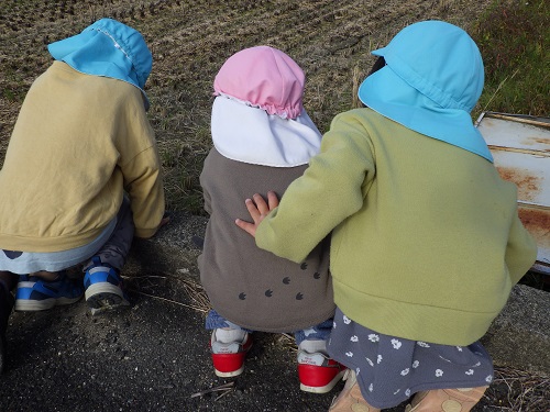 落ちないように…そっと添えてあげる優しい左手。（4歳児）