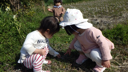 てんとうむしをみつけたよ（0歳児）