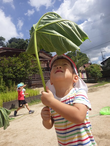 葉っぱの傘！いいでしょ～（３歳児）