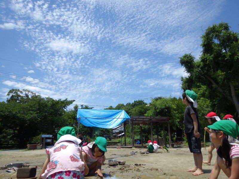 「どろんこあそび」ふとみあげると「みてー！めっちゃきれい！」ときれいな空をみて目を輝かせる子どもたちでした。