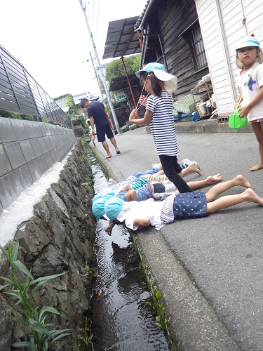 「あそこに何かいるっ！」散歩ではいろいろな出会いがあり、子どもたちの目はキラキラしています。