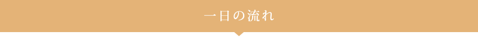 一日の流れ