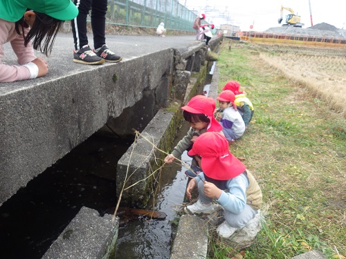 稲わらを使って魚つりのマネ。「つれるかなぁ～」（3歳児）