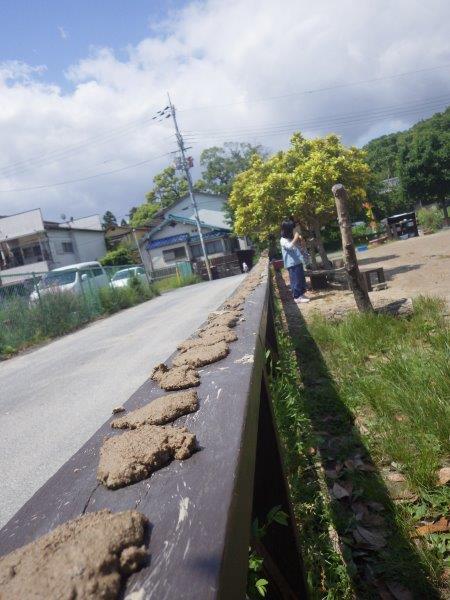 以上児(３・４・５歳児)「柵にびっしり並んだ泥ケーキ！　　　　　『おいしいケーキはいかがですか？』」