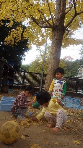 ＜2歳児＞イチョウの葉っぱを集めて、お花のように束ねたり、頭につけて髪飾りにしたりして楽しんんでいます。