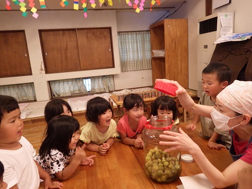 梅ジュースづくり。おいしくなーれ！（3歳児）