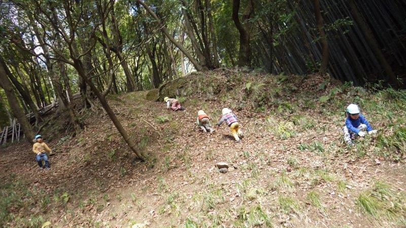 【山あそび】山あそびが始めはちょっと怖かったつきぐみさん(２歳児)。今ではどんどん夢中登って楽しめるようになりました。たくましくなったね！