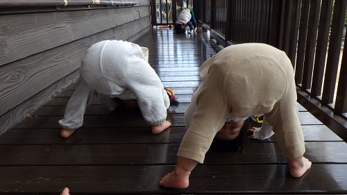 ばあ！おもしろいでしょ（0歳児）