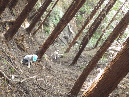 秋の遠足「４.5歳児は梶原山にいきました。険しい道も立派に登り切った子ども達。 頑張って登った山の頂上からみる景色は絶景！頑張ってよかったね。（４・５歳児）」