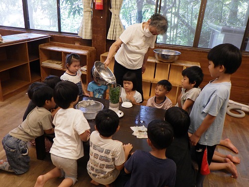 【藍染】何色になるかな？みどり？きいろ？わくわく！（5歳児）