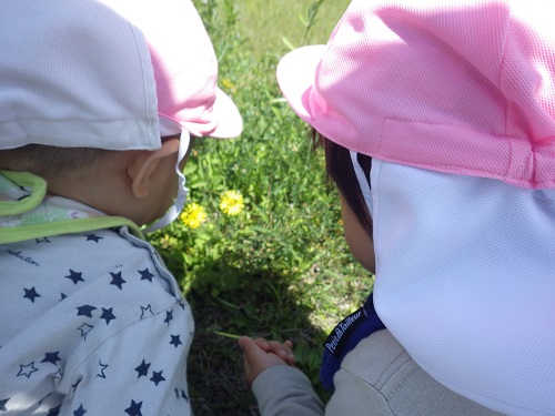 虫さんいるかな～？並んでのぞく後姿が可愛らしい。（1歳児）