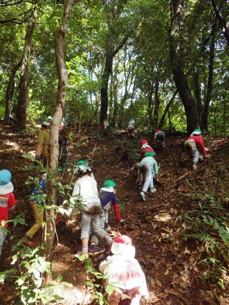 やまぐみとそらぐみは梶原山の頂上まで行きました。山あそびをたっぷり楽しみ自然におもいき り包まれた遠足となりました。