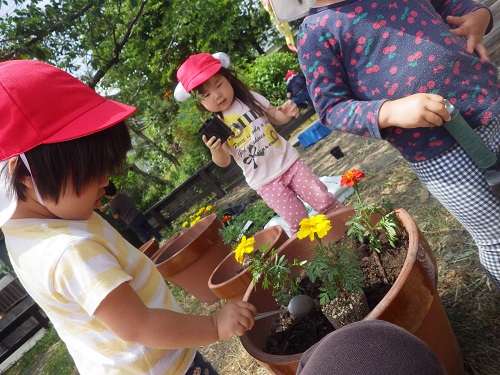 「これってなんてお花？」「どうやって育つ？」自分の手でお花を植えることで興味が広がっていきます。