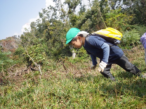 秋の遠足「４.5歳児は梶原山にいきました。険しい道も立派に登り切った子ども達。 頑張って登った山の頂上からみる景色は絶景！頑張ってよかったね。（４・５歳児）」