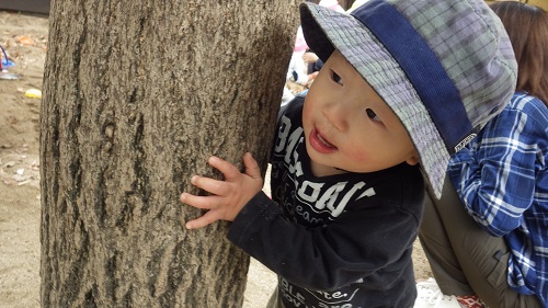 木の陰から「ばあ！」　可愛いいたずら♪（０歳児）