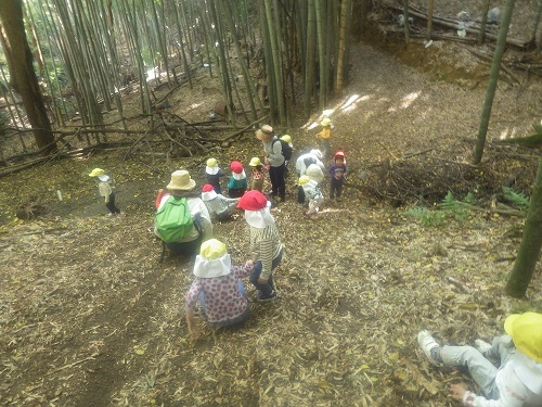 秋あそび「斜面だっておしりをつけて滑れば怖くない！ずりずり進みながら楽しんでます！ （２・３歳児）」