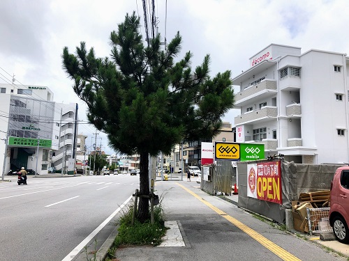 ジョリーパスタ真嘉比店 ほっともっと真嘉比店 那覇市真嘉比3丁目 21 06 09 不動産活用相談所 株式会社マッキー ジョリーパスタ真嘉比店 ほっともっと真嘉比店 那覇市真嘉比3丁目 21 06 09 不動産活用相談所 株式会社マッキー