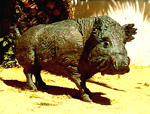Cochino grande. 100x70x110 cm