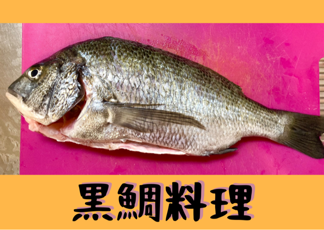 黒鯛