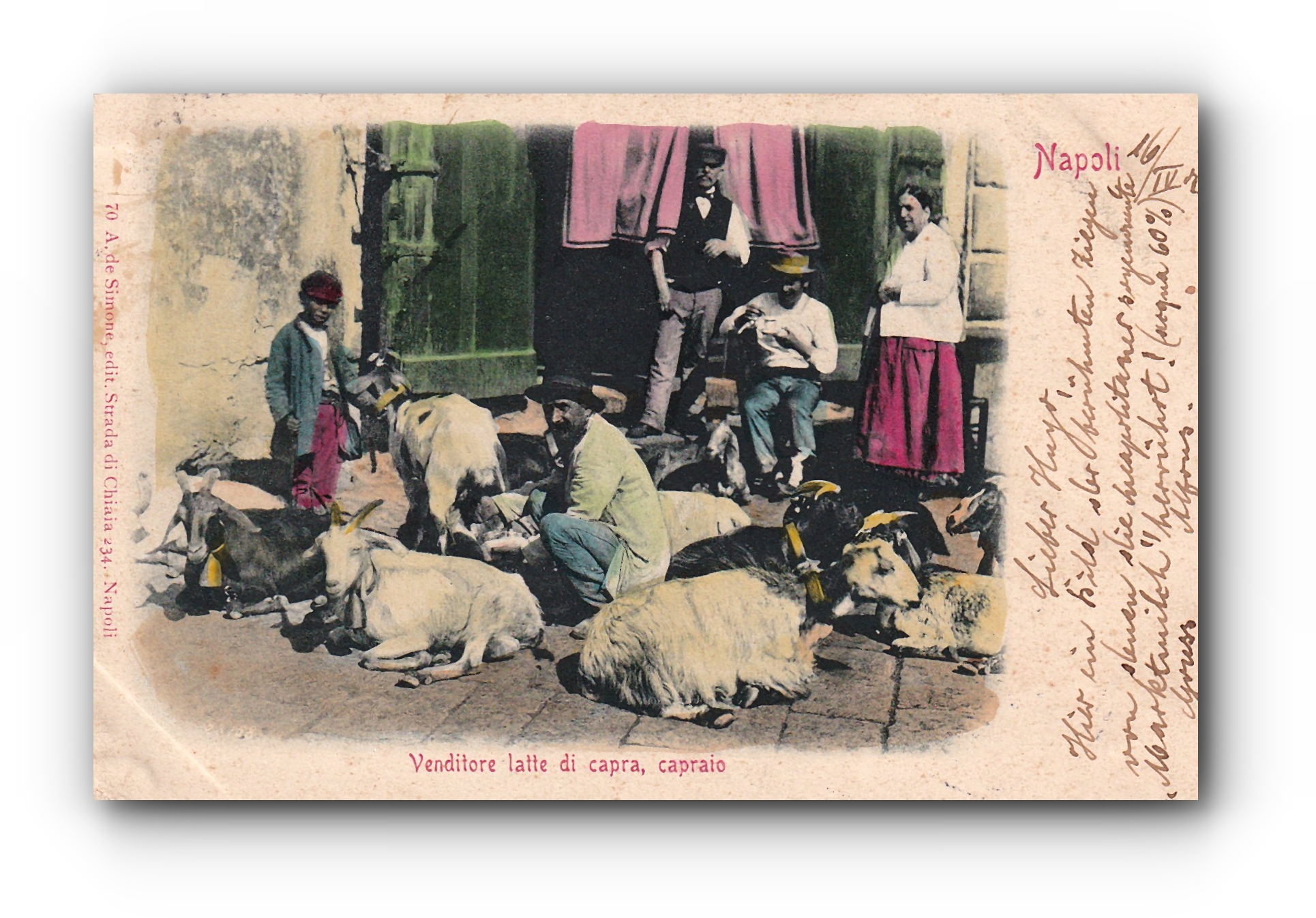 - Venditore latte di capra , capraio - NAPOLI - 16.04.1902 -