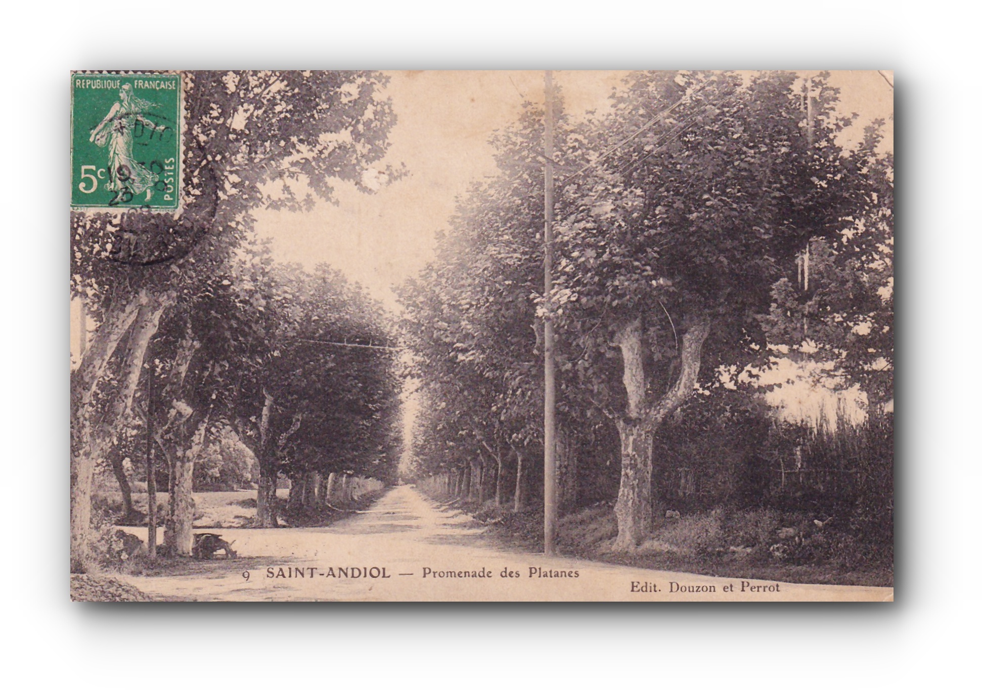 - Promenade des Platanes - SAINT - ANDIOL -