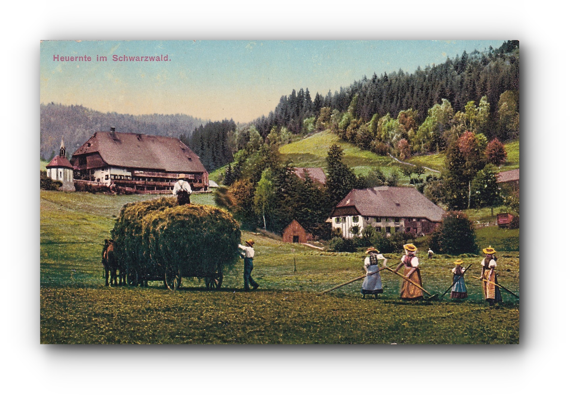 - Heuernte im Schwarzwald - 15.08.1912 -