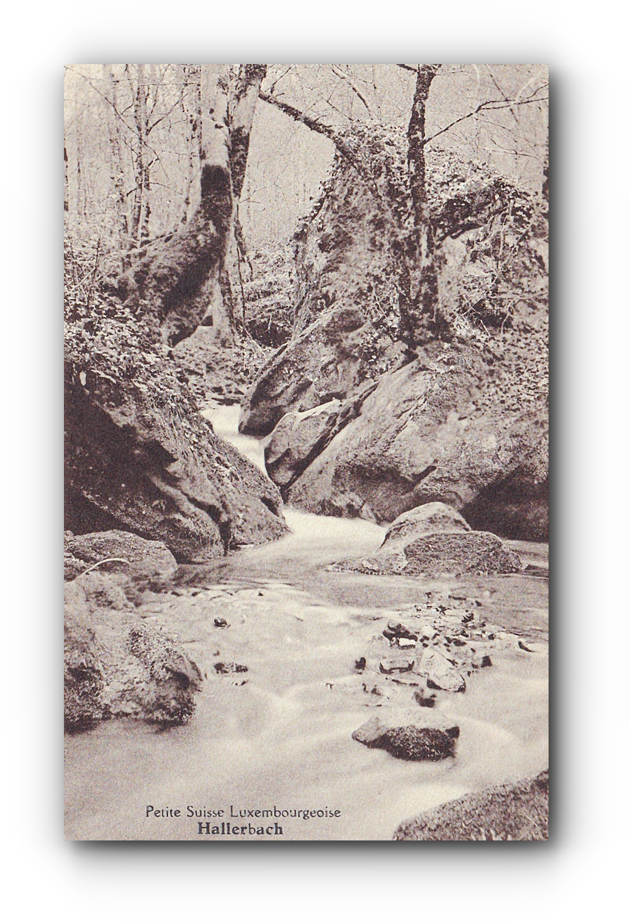 - Petite Suisse Luxembourgeoise - HALLERBACH -