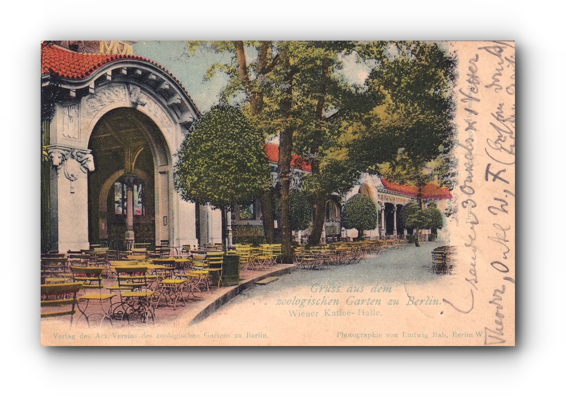 - Wiener Kaffee - Halle - Gruss aus dem zoologischen Garten zu BERLIN - 29.06.1902 -