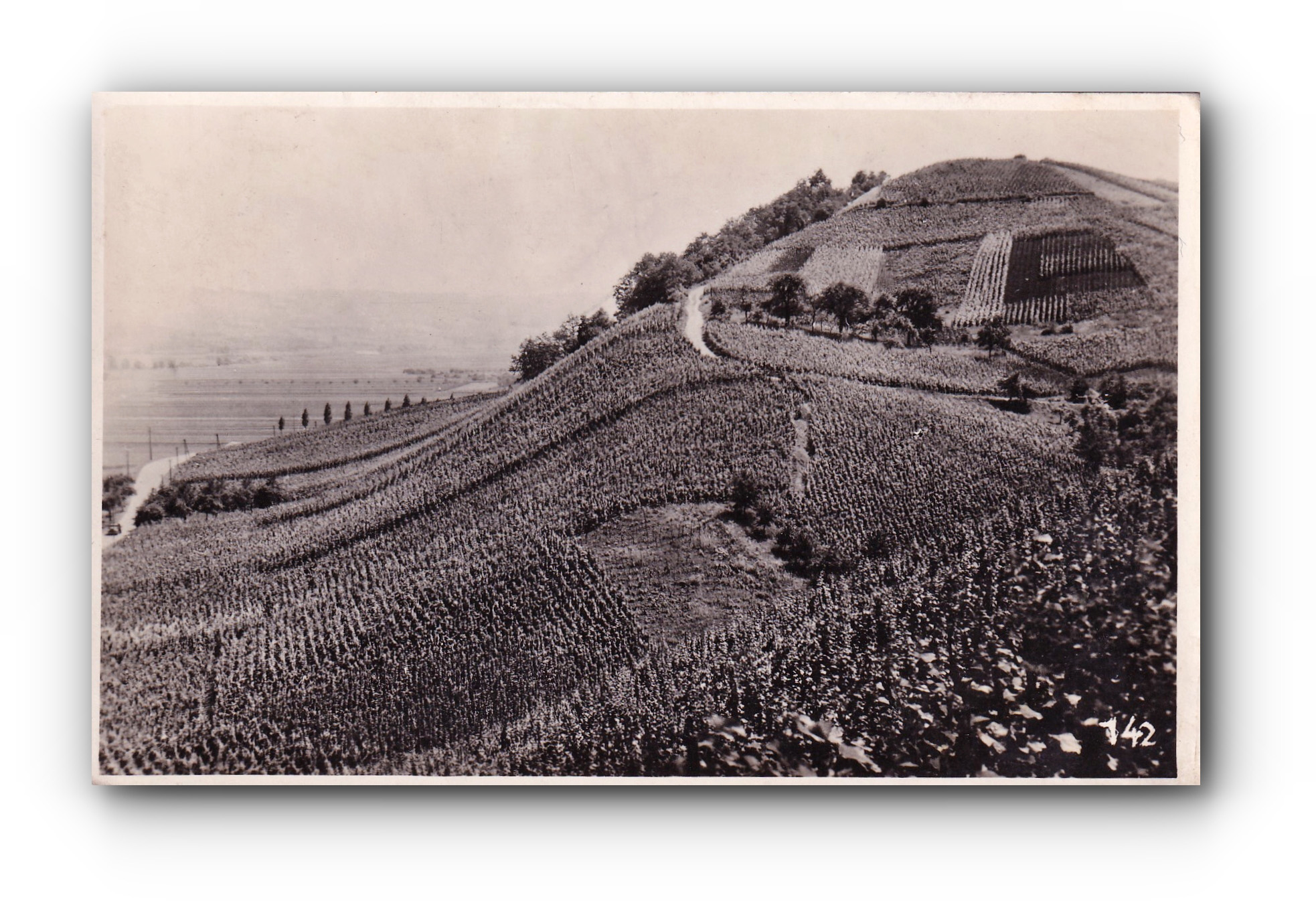 - Les vignobles du Hebebierg - BECH - KLEINMACHER - 11.08.1949 -