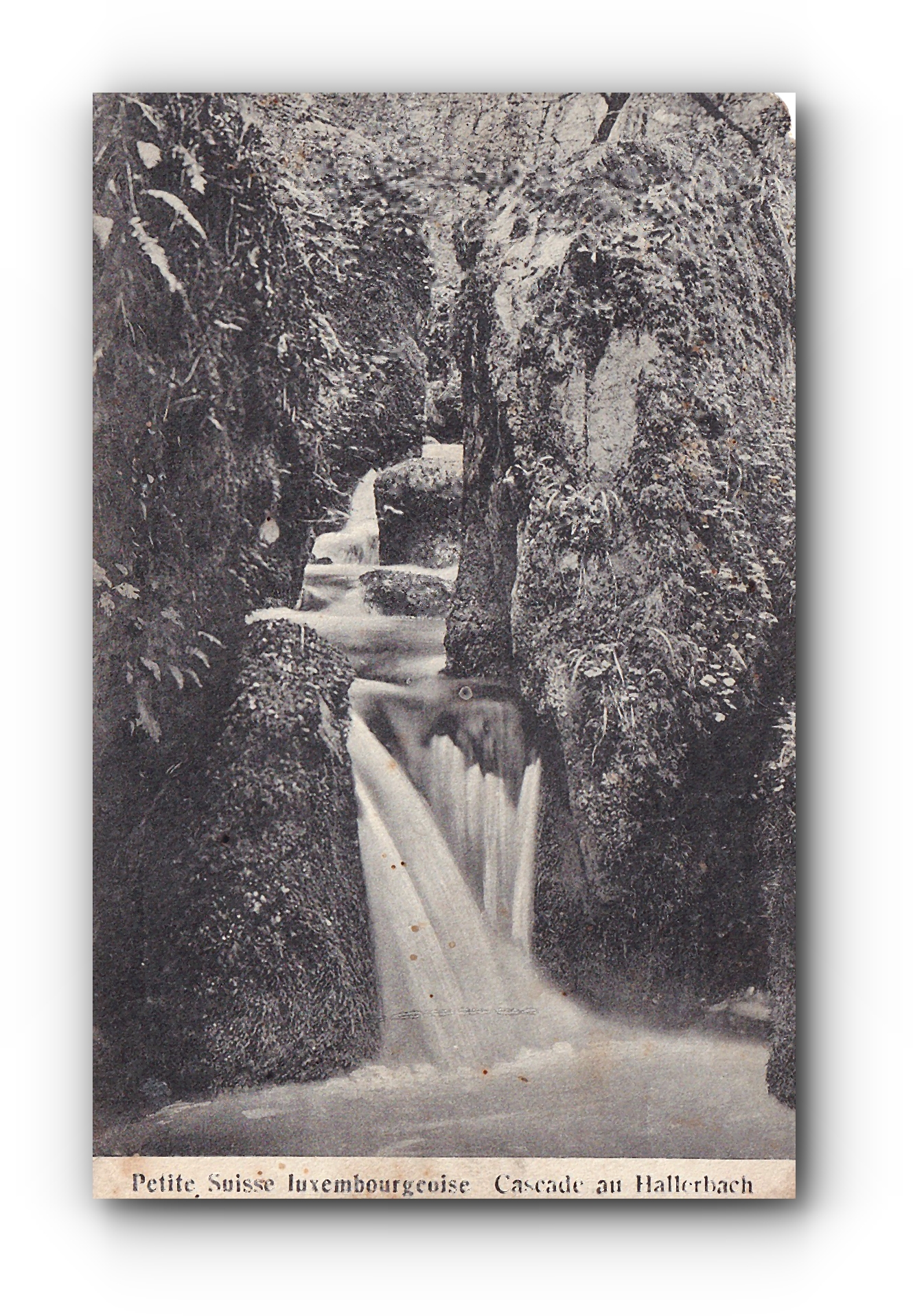 - Petite Suisse Luxembourgeoise - Cascade au HALLERBACH - 23.09.1918 -